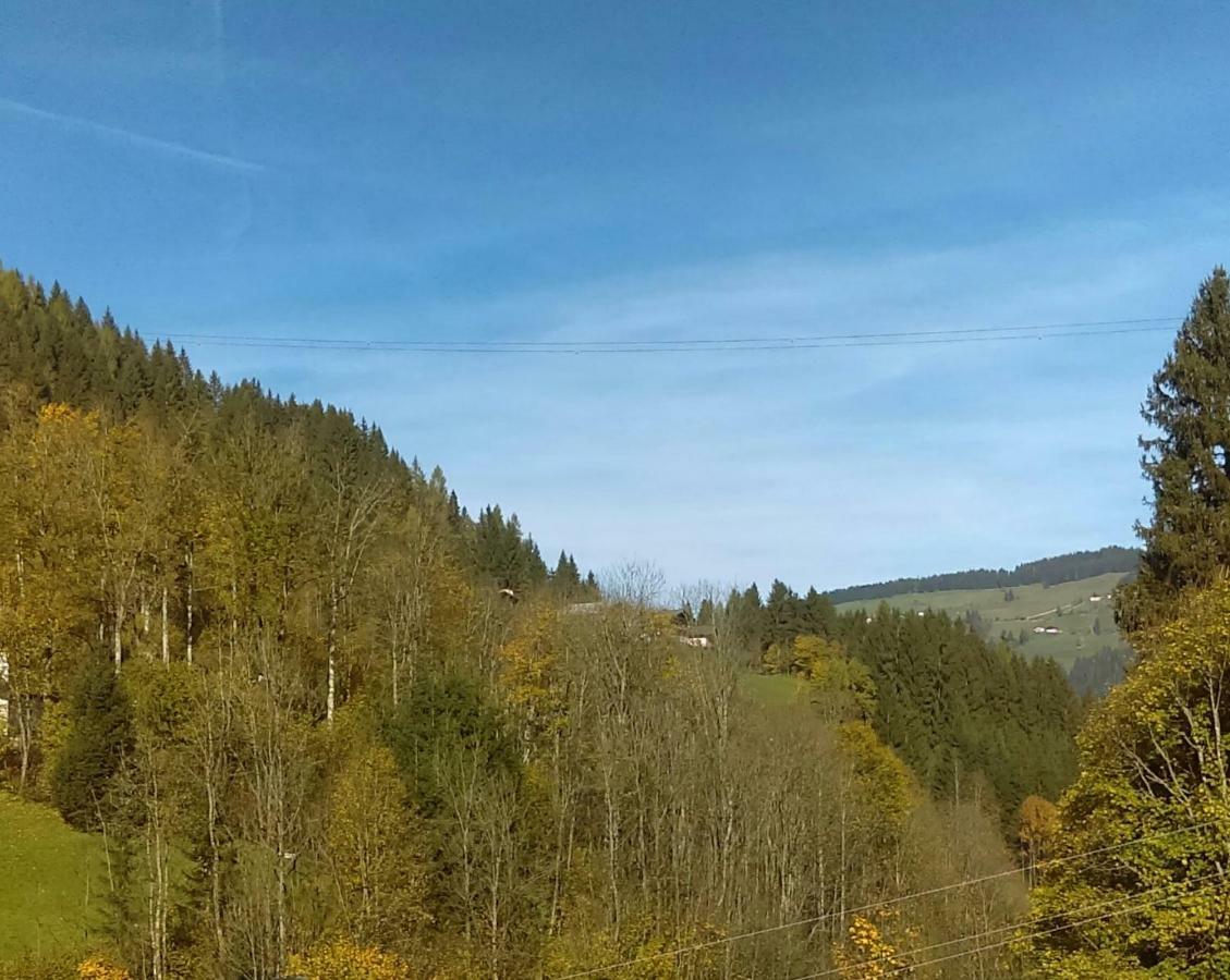 Appartement Deisl Wagrain Zewnętrze zdjęcie